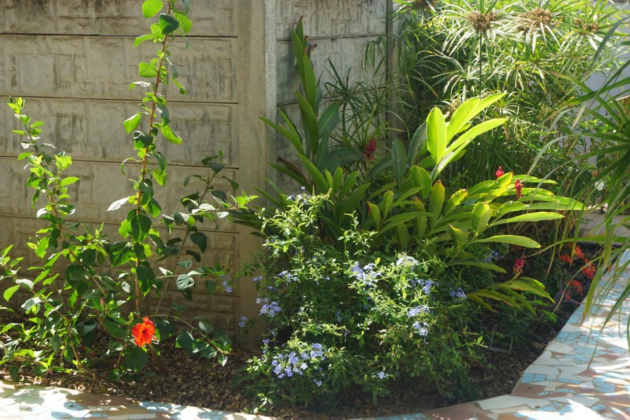 B & B Villa Calliandra Bijilo Εξωτερικό φωτογραφία